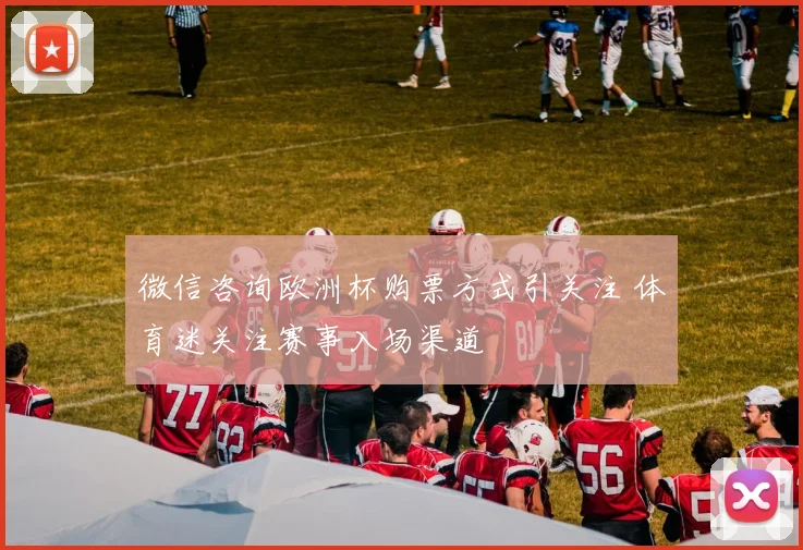 微信咨询欧洲杯购票方式引关注 体育迷关注赛事入场渠道