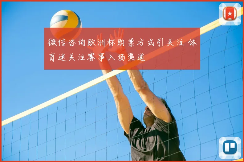 微信咨询欧洲杯购票方式引关注 体育迷关注赛事入场渠道