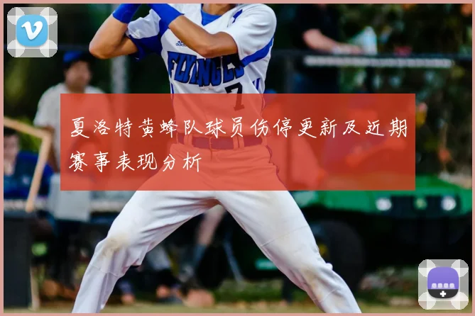 夏洛特黄蜂队球员伤停更新及近期赛事表现分析