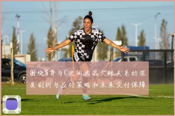 围绕S货与C之间肉品欠账关系的深度剖析与应对策略和未来交付保障