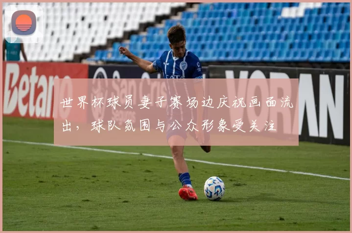 世界杯球员妻子赛场边庆祝画面流出，球队氛围与公众形象受关注